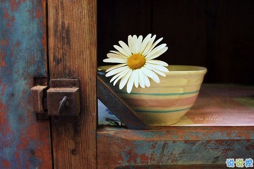 忘不了一個(gè)人的說(shuō)說(shuō)傷感淚目 一想到你我就淚流不止的說(shuō)說(shuō)2