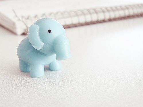 有哪些詩歌讀到后心里像開出了一朵花？5