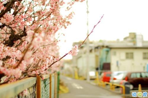 2019寫小寒的抒情句子大全 最新小寒節(jié)氣微信朋友圈祝福語句子2