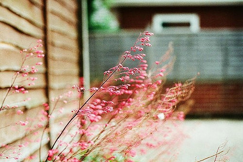 一個人感到孤獨(dú)寂寞時發(fā)的說說帶圖片 一個人只要學(xué)會了回憶就再不會孤獨(dú)2