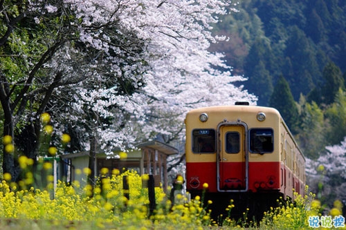比較特別的女生說說2019精選帶圖片 忍不住想點(diǎn)贊的女生說說9