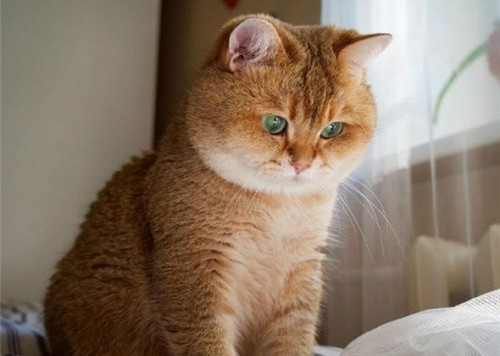 可以戳中中你笑點(diǎn)的搞笑說說帶圖片7