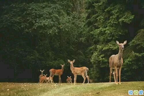 突然不喜歡一個(gè)人/放棄一個(gè)人是一種什么樣的感受？8