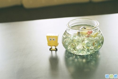 幸福情侶唯美說說帶圖片大全 我要陪你從新型安走到歸屬感和安全感6