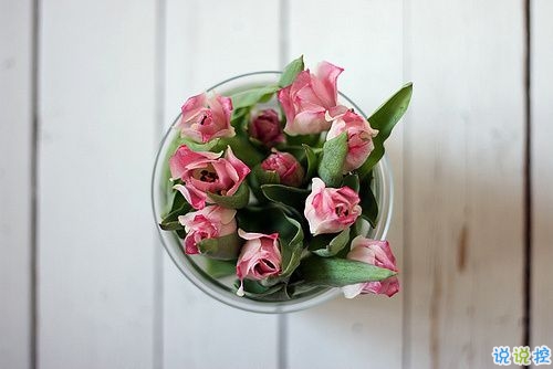 早安說說勵(lì)志致自己一句話 簡短正能量的早安說說大全2