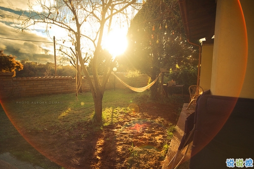 新的一年新的開始的哲理句子 充滿陽光的正能量句子大全2