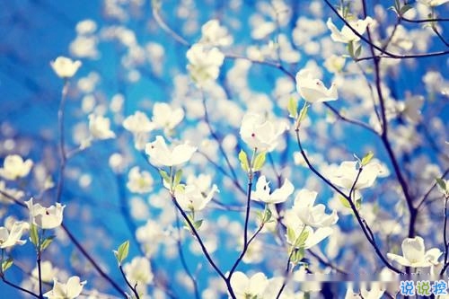 2019春分朋友圈早安祝福語帶圖片 春分唯美說說簡單一句話4
