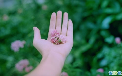 一句話說(shuō)說(shuō)經(jīng)典有哲理 2019最火的哲理句子發(fā)朋友圈的1