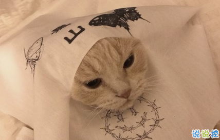 2018朋友圈說(shuō)說(shuō)搞笑配圖 朋友圈必評(píng)論的搞笑說(shuō)說(shuō)13