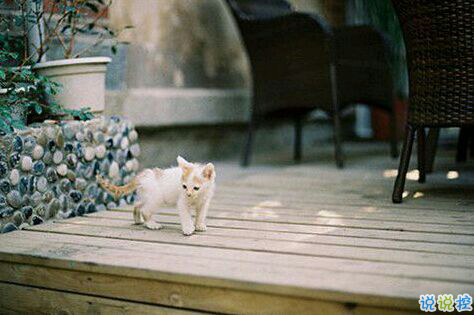 一個人獨處時的孤獨寂寞的說說帶圖片 你有看過凌晨三點的星星嗎10