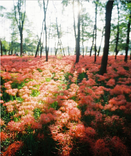 人在途中慢慢成長學(xué)會長大的經(jīng)典哲理句子2