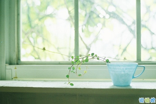 最新有內(nèi)涵的經(jīng)典說說2019 又好聽又勵志的微信經(jīng)典說說2