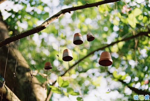 2019情人節(jié)一個(gè)人過的說說帶圖片 情人節(jié)傷感心情說說配圖3