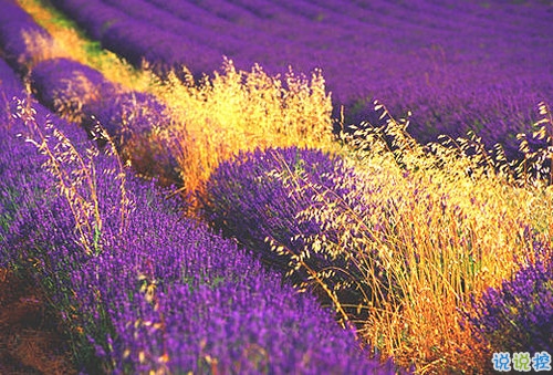 真實收獲的人生感悟說說帶圖片 都是人生路上換來的經(jīng)驗教訓(xùn)12