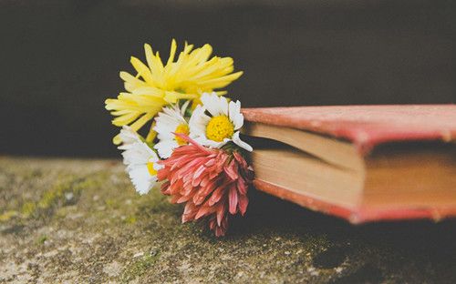 關(guān)于愛(ài)情的經(jīng)典精辟說(shuō)說(shuō)帶圖片 人一旦愛(ài)了一顆心就能百轉(zhuǎn)千回10