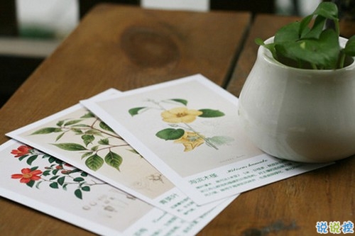 40句很傷感的抖音上流行的心情說說 感到孤獨(dú)寂寞的心情說說2