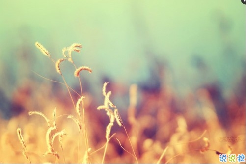 關(guān)于敏感人的說說帶圖片 敏感的人會怎么自我折磨13