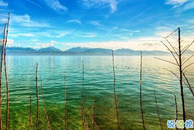 不是每件事都注定會成功，但是每件事都值得一試12