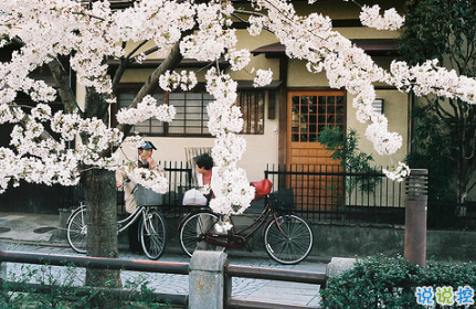 最火情侶說(shuō)說(shuō)秀恩愛(ài)短句帶圖片 超級(jí)喜歡一個(gè)人的說(shuō)說(shuō)10