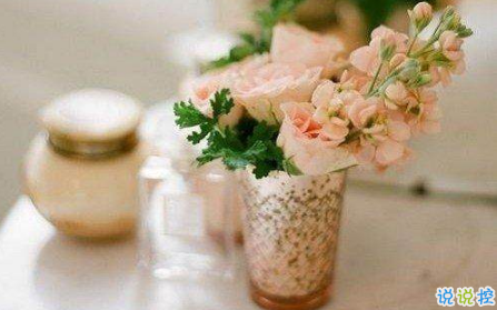 空間置頂說說清新句子簡單干凈 2018小清新空間說說好聽的2