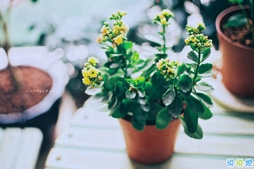 很勵(lì)志的關(guān)于成長青春和夢(mèng)想的感悟人生的說說帶圖片15