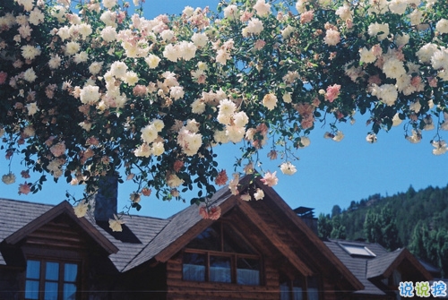 有點(diǎn)小傷感的說(shuō)說(shuō)唯美文藝帶圖片 今天心情不美好的說(shuō)說(shuō)很簡(jiǎn)單12