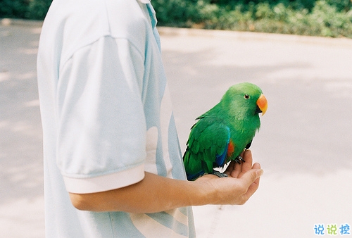 獨具一格的微信個性說說帶圖片 每一條都值得收藏2