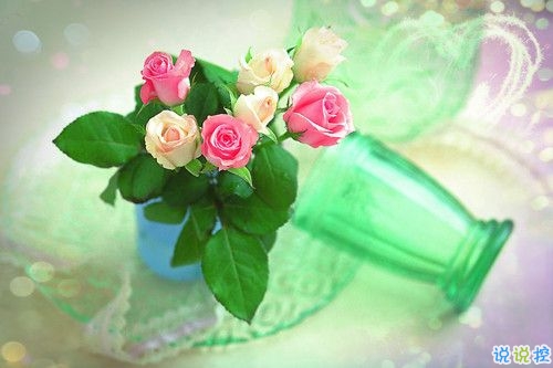 2019關(guān)于春分的微信說說帶圖片 春分節(jié)氣早安祝福語10