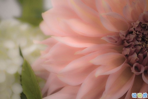 qq文字控愛情哲理說說帶圖片大全 路過了青春我們還剩下什么15