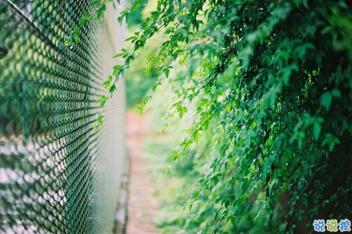 心好累的傷感說(shuō)說(shuō)非主流帶圖片 喜歡一個(gè)人卻得不到的悲傷說(shuō)說(shuō)2