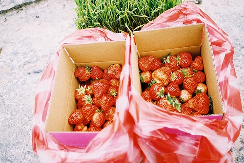 關(guān)于人生哲理和現(xiàn)實經(jīng)歷的一句話簡單精辟的說說帶圖片7