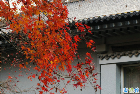 今日立秋圖片說說2018最新版 立秋的經(jīng)典說說帶圖片精選11