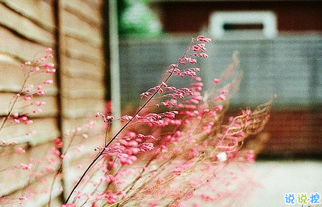 知性女人用的唯美朋友圈說(shuō)說(shuō)圖片 剪一段愛(ài)的時(shí)光永久收藏3