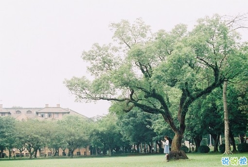 大學(xué)生必看的搞笑暖心情話 不同系別的學(xué)霸怎么表白2