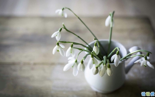 2019婦女節(jié)朋友圈說說大全配圖 溫馨浪漫的38婦女節(jié)說說帶圖片9