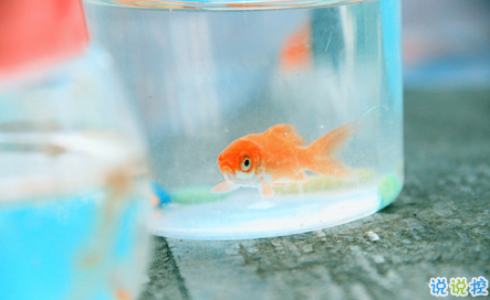 艾特自己的自嘲句子說說文字控 有關(guān)艾特自己的個性說說1