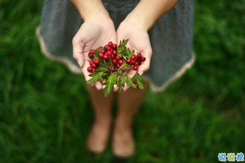 2019情人節(jié)一個(gè)人過的說說帶圖片 情人節(jié)傷感心情說說配圖5