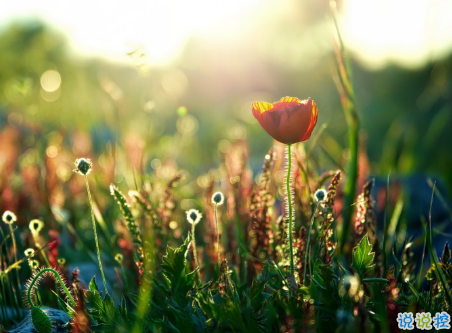 微信朋友圈治愈系早安心語說說 溫暖小清新早安說說大全3