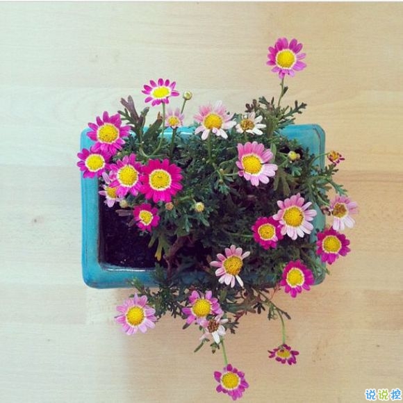 戀愛時的甜蜜小情話溫柔的句子帶圖片 我奔向你就像奔向未來6