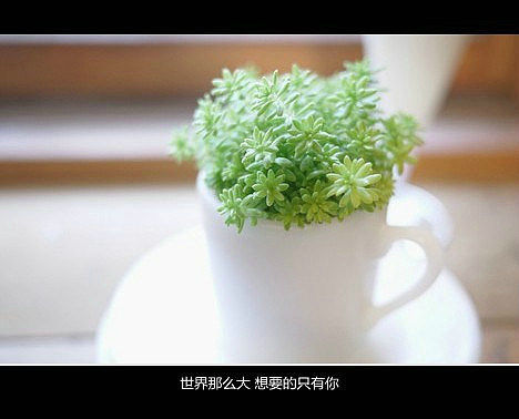 超傷感難過悲傷的愛情說說 你是我枯水年紀里的一場雨8