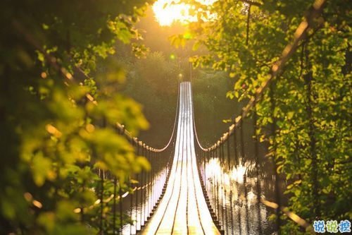 2019最新qq小情話帶圖片大全 最感動的唯美情話說說9