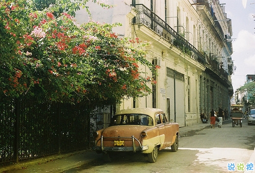 那些抖音中唯美的小清新圖片句子 浮世萬(wàn)千吾愛(ài)有三11