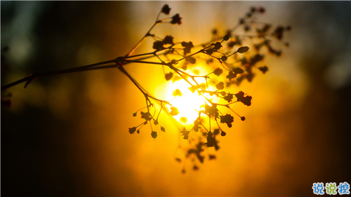 姑娘，我有15句悄悄話說給你聽。9