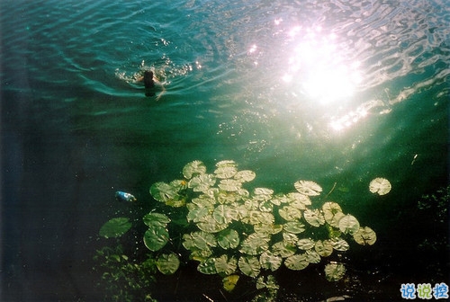 很經(jīng)典的個(gè)性說說大全關(guān)于夢想和人生 2018精辟的一句話內(nèi)涵個(gè)性說說2