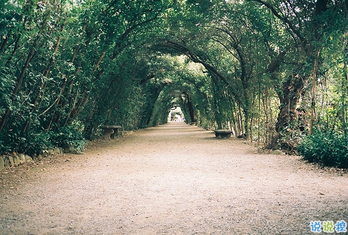 qq空間勵(lì)志說說帶圖片2019 00后都愛的勵(lì)志句子年輕人必備7