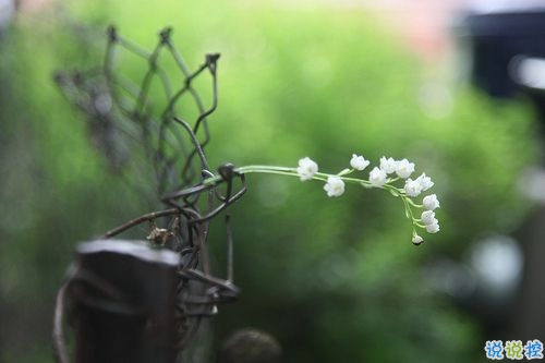 對(duì)愛一往情深的經(jīng)典說(shuō)說(shuō)帶圖片 文藝愛情小短句表達(dá)愛意5