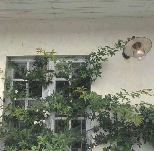 關于人生和夢想的很現(xiàn)實的經典哲理說說帶圖片13