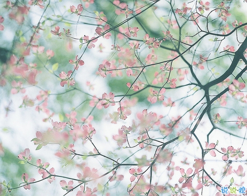 早安周末寫(xiě)給周末上午的勵(lì)志經(jīng)典說(shuō)說(shuō)配圖 很勵(lì)志經(jīng)典的早安心語(yǔ)語(yǔ)錄201810