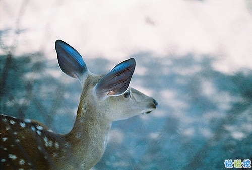 青春年少歲月中對人生的思考 精辟內(nèi)涵的經(jīng)典說說帶圖片很有意境7