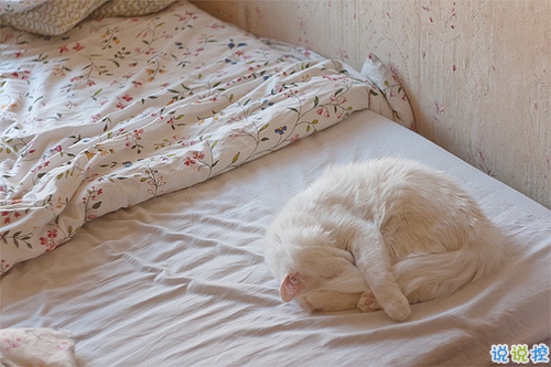 qq個性說說大全好聽的 獨一無二的個性說說2019最新1